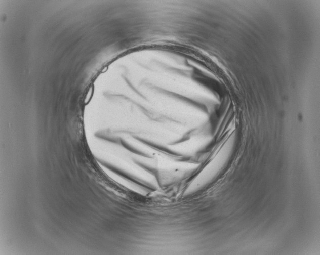 X0000069411363200606021711