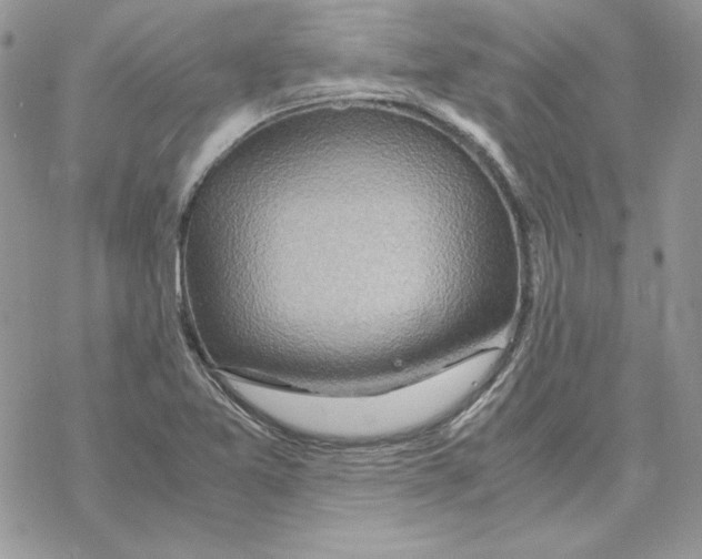 X0000069411365200606021711