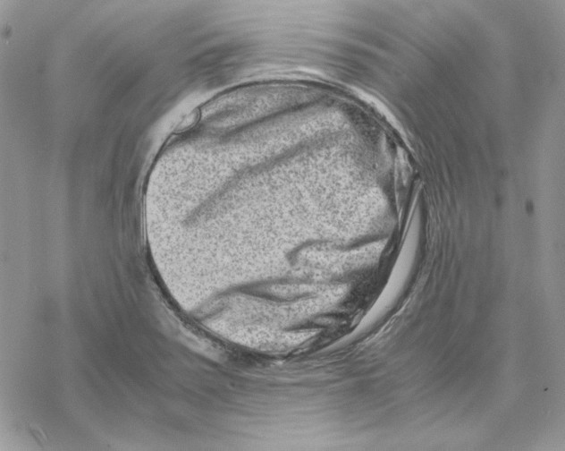 X0000069411371200606021711