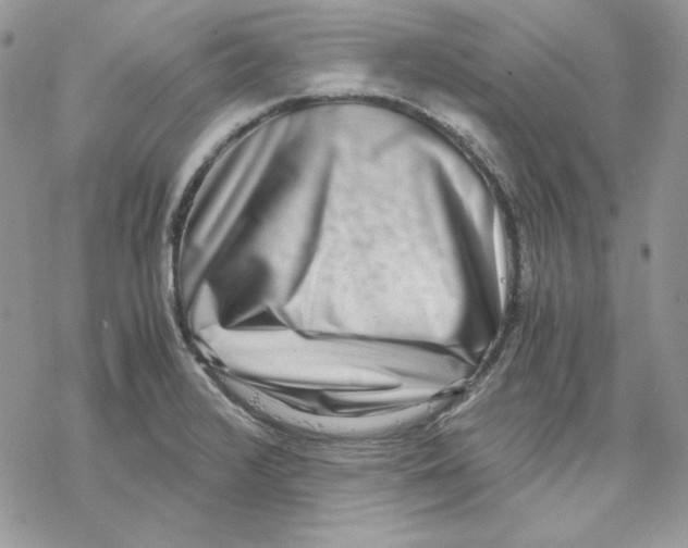 X0000069411376200606021711