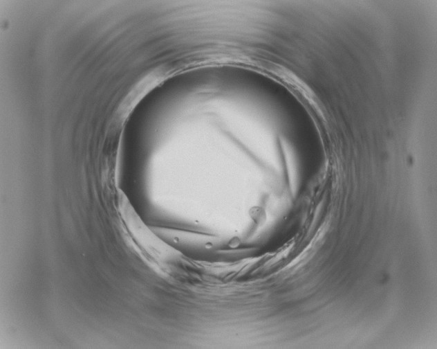 X0000069411385200606021711