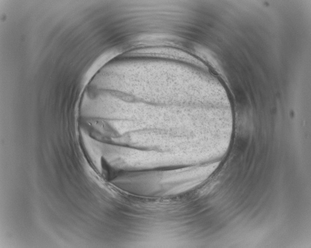 X0000069411386200606021711