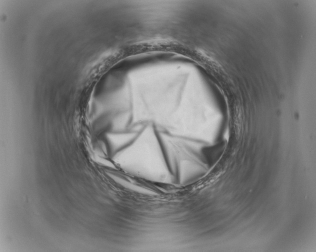 X0000069411398200606021710