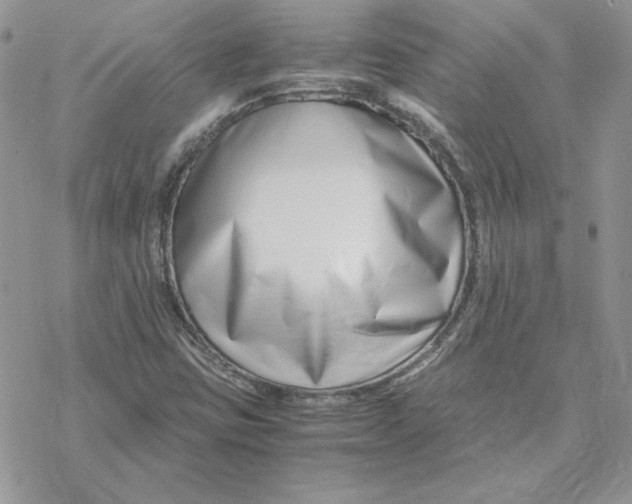 X0000069411403200606021710