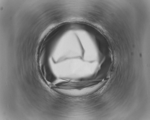 X0000069411422200606021710