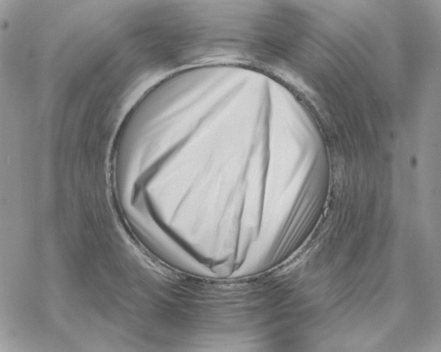 X0000069411423200606021710