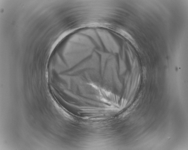 X0000069411428200606021710