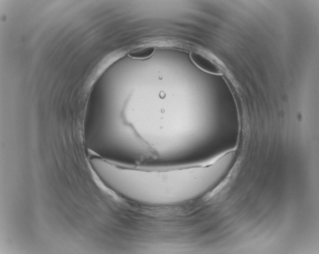 X0000069411433200606021710