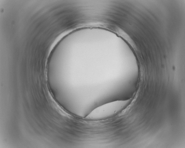 X0000069411436200606021710