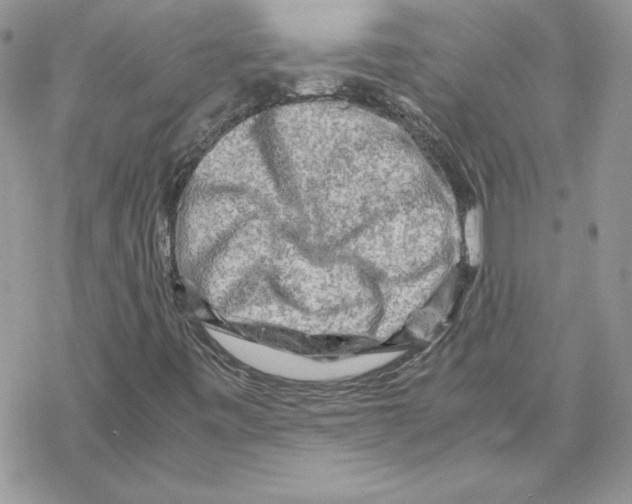 X0000069411443200606021710
