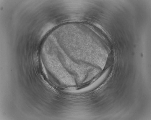 X0000069411450200606021710