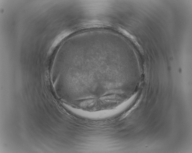 X0000069411453200606021710