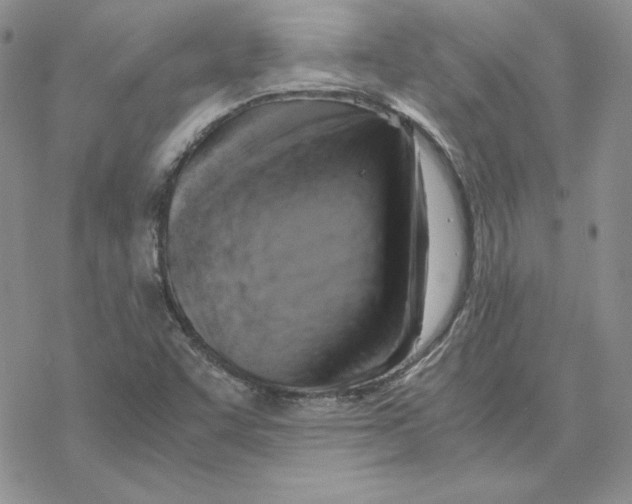 X0000069411455200606021709