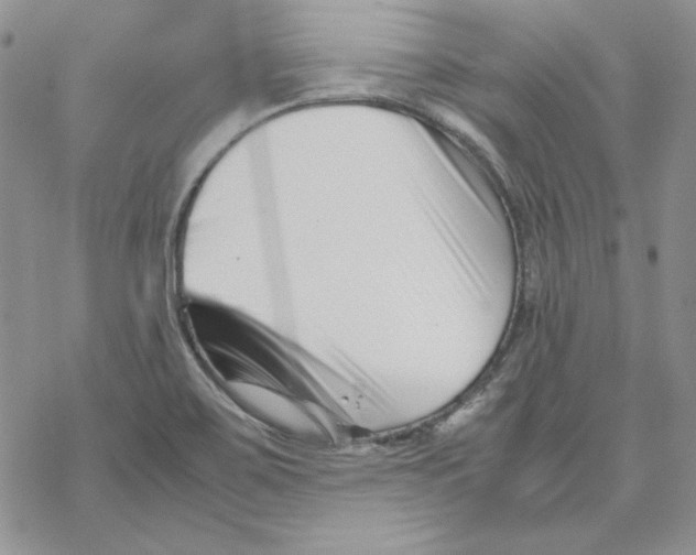 X0000069411467200606021709