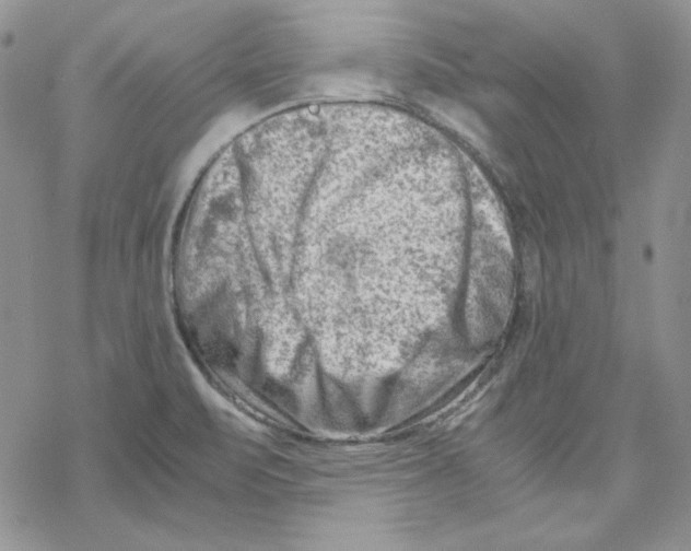X0000069411471200606021709