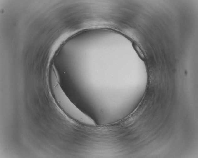 X0000069411472200606021709