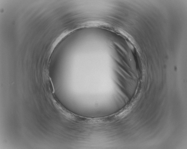 X0000069411473200606021709