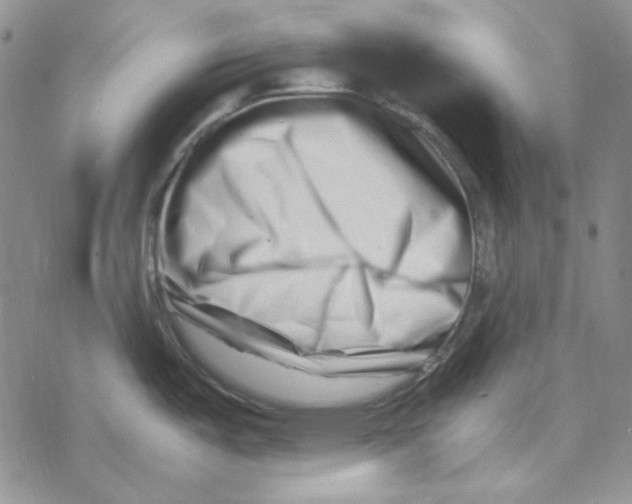 X0000069411487200606021709