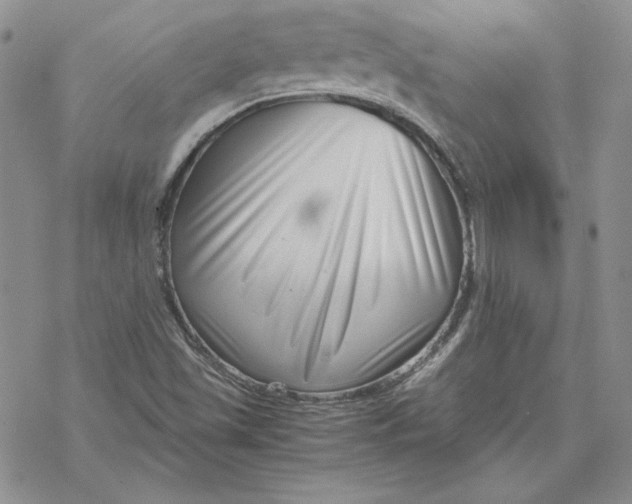X0000069411501200606021708