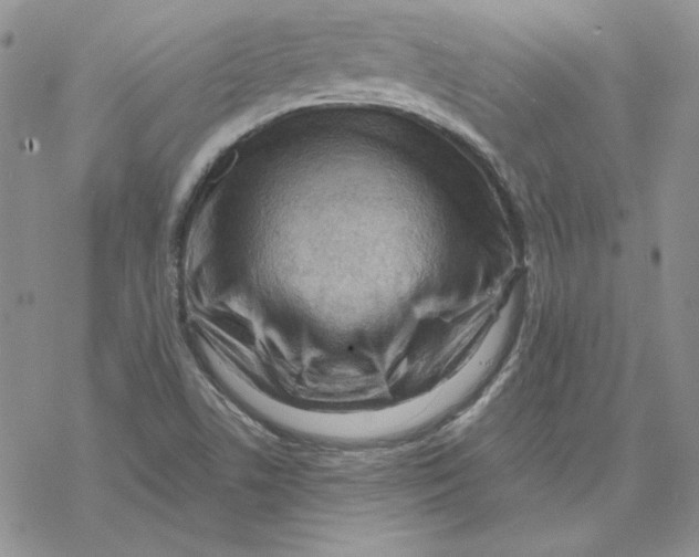 X0000069411506200606021708