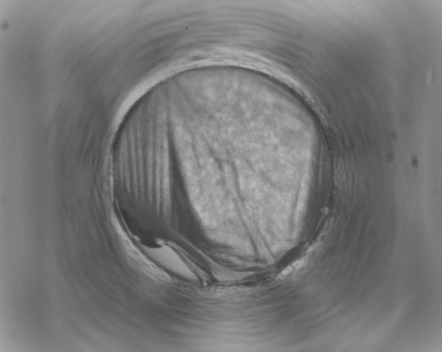 X0000069411522200606021709