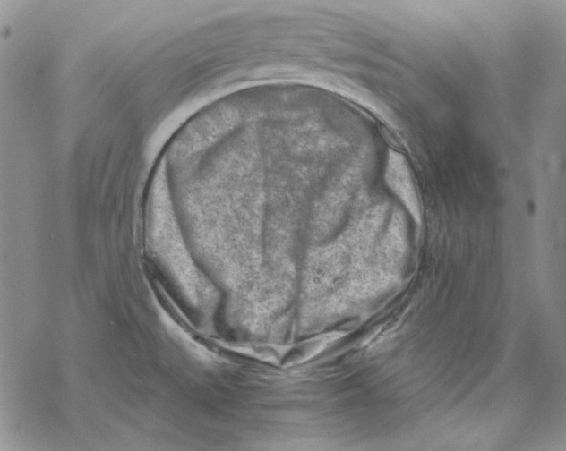X0000069411527200606021709
