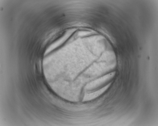 X0000069410014200606091818