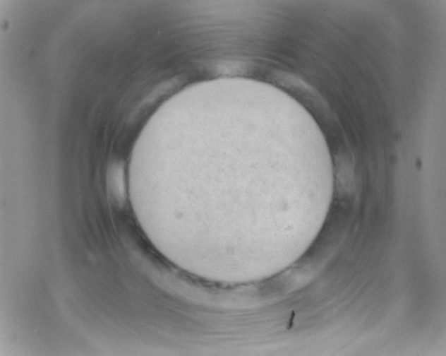 X0000069410028200606091818