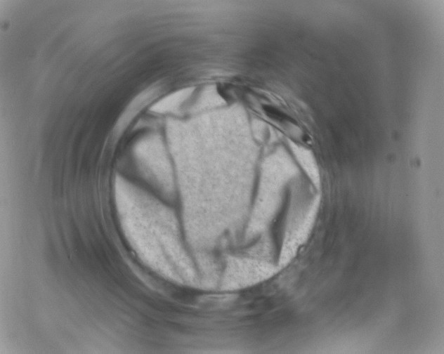 X0000069410051200606091817