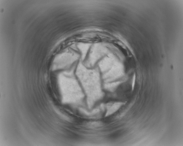 X0000069410063200606091817