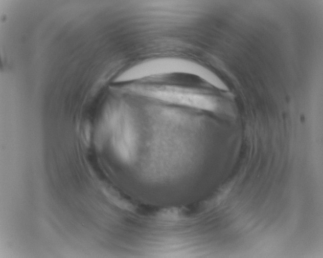 X0000069410076200606091817