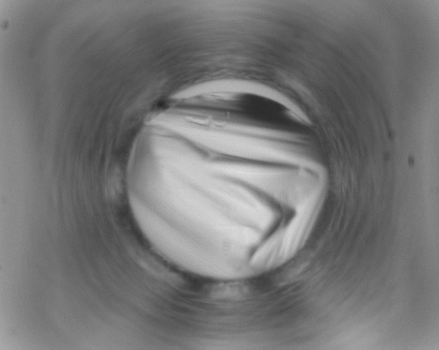 X0000069410077200606091817
