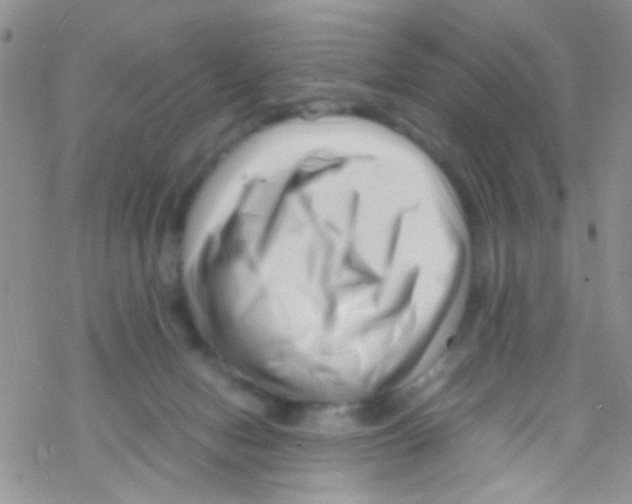 X0000069410078200606091817