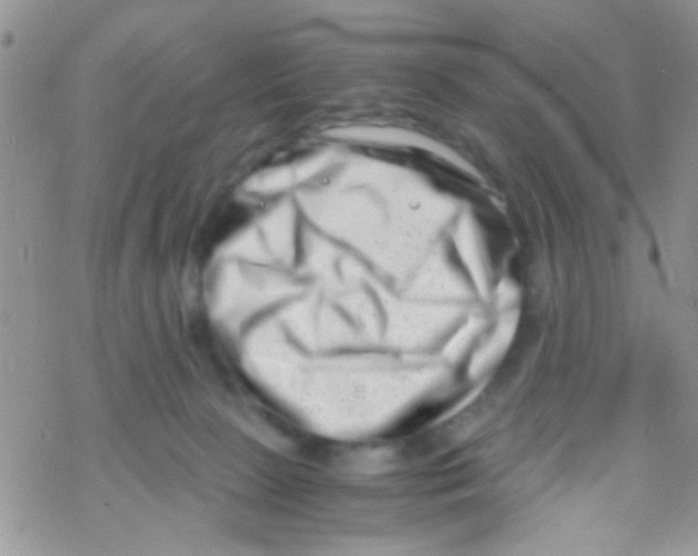 X0000069410081200606091817