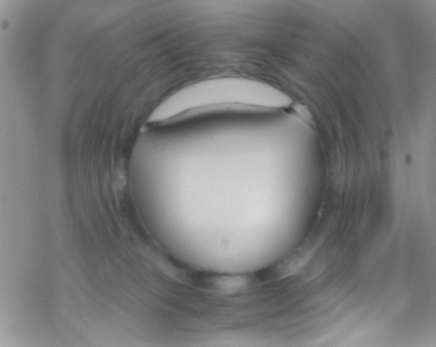 X0000069410085200606091817