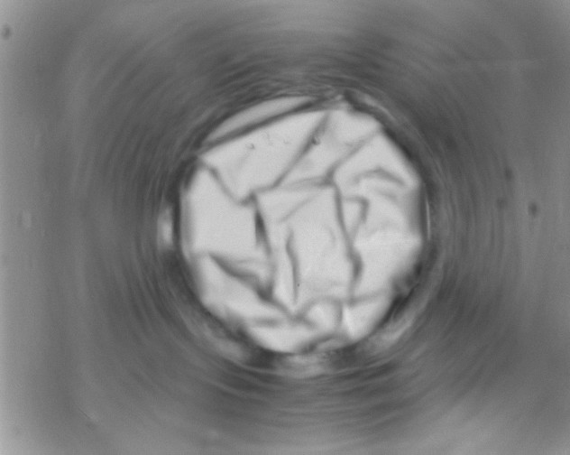 X0000069410095200606091817