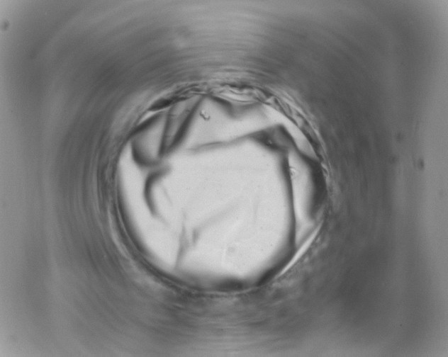 X0000069410097200606091816