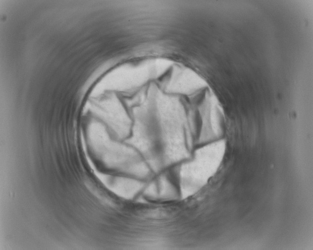 X0000069410100200606091816