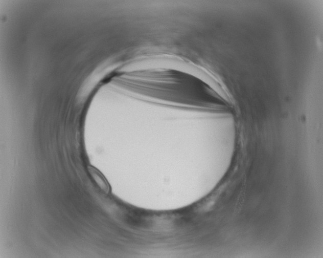 X0000069410103200606091816