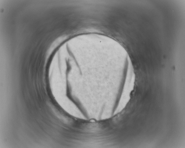 X0000069410104200606091816