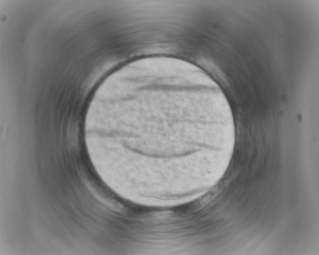 X0000069410108200606091816