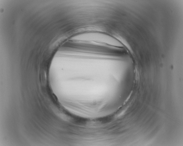 X0000069410109200606091816