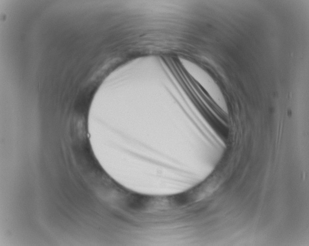 X0000069410123200606091816