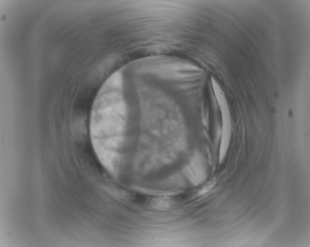 X0000069410127200606091816