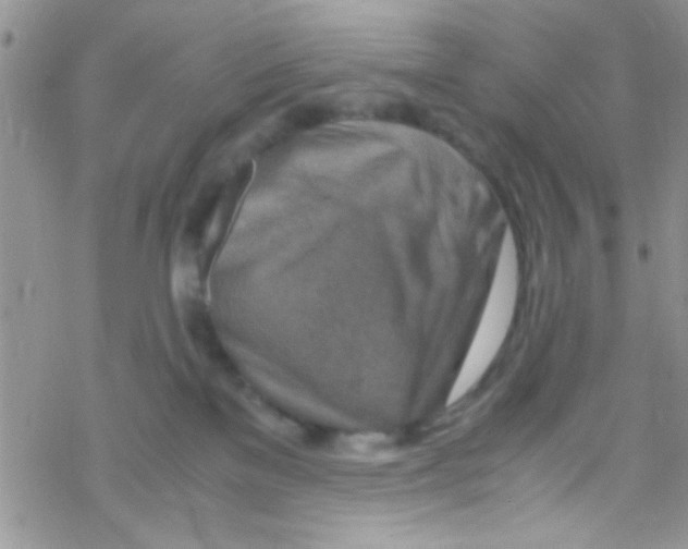 X0000069410137200606091816