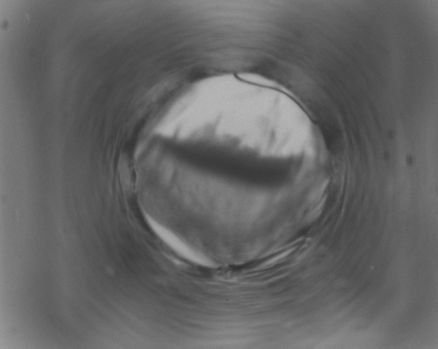 X0000069410143200606091816