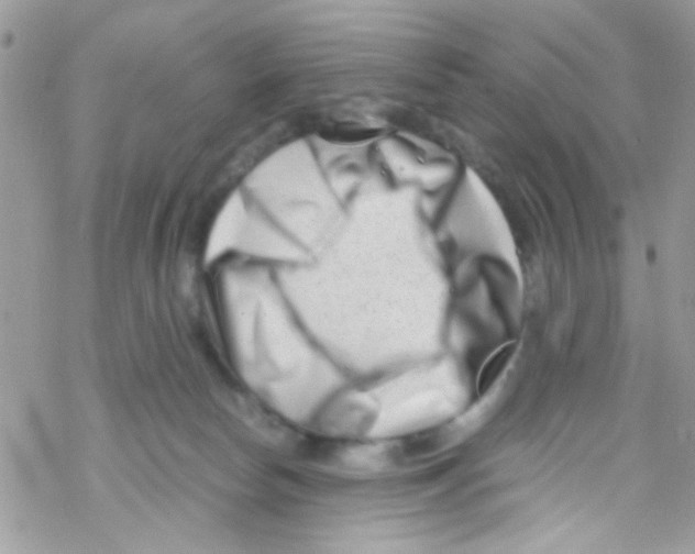 X0000069410178200606091815