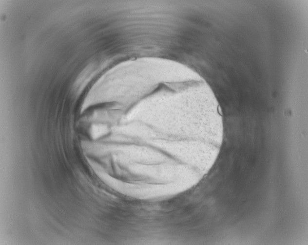 X0000069410194200606091815