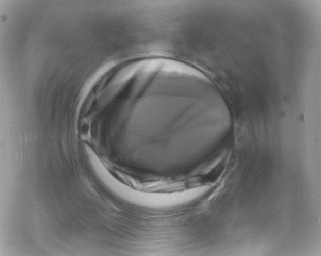 X0000069410200200606091815