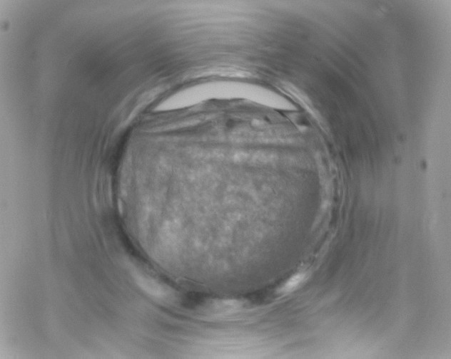 X0000069410205200606091815
